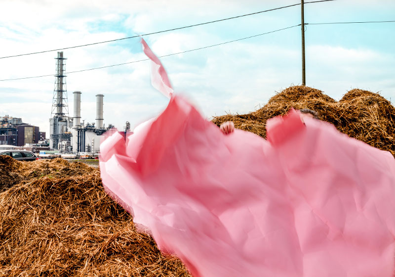 Nachhaltigkeit spielt bei BASF eine große Rolle. Deshalb wird an Alternativen Werkstoffen zu Kunststoff geforscht. Abbaubare Zellstoffe können bei Folien eine umweltfreundliche Alternative zu Plastik sein.