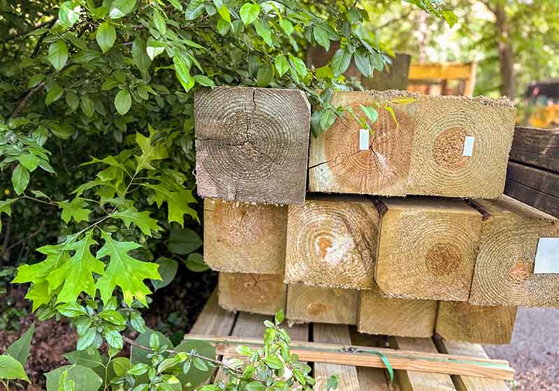 Holzbretter auf Baumstamm: Stapel von Holzplanken auf einem Baumstamm.